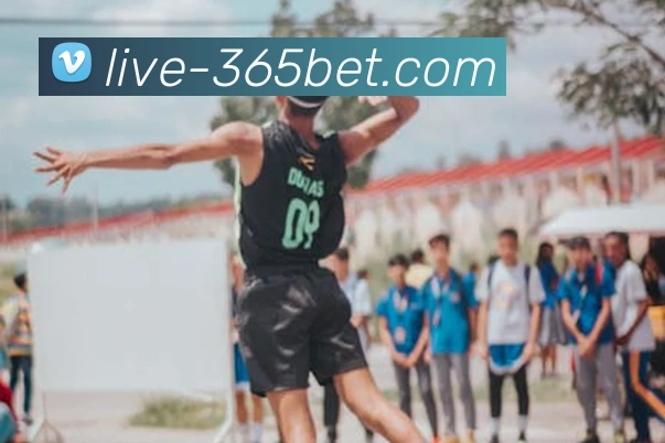 多媒体互动体验